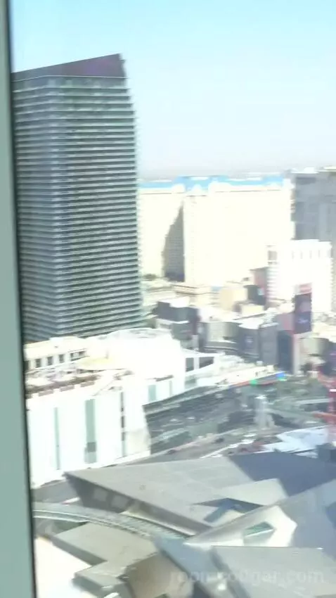 Sky Suites One Bedroom Penthouse - Panoramic (#50037) view picture #5