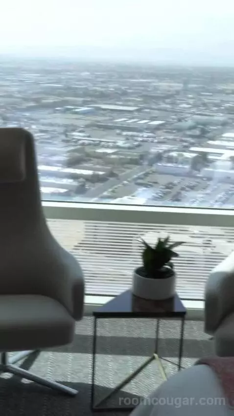Sky Suites One Bedroom Penthouse - Panoramic (#50037) view picture #9