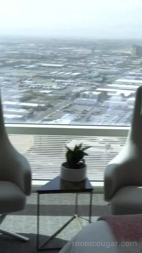 Sky Suites One Bedroom Penthouse - Panoramic (#50037) view picture #11
