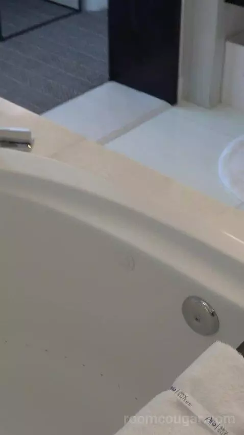 Sky Suites One Bedroom Penthouse - Panoramic (#50037) bathroom picture #12