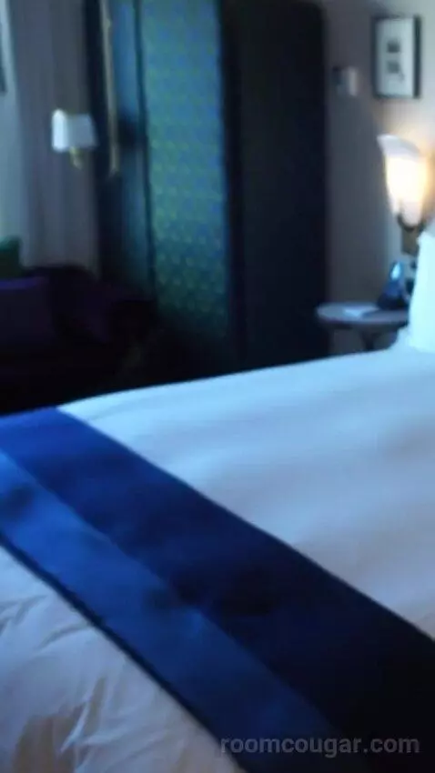 Classic King with a King Bed (#3048) bed picture #9