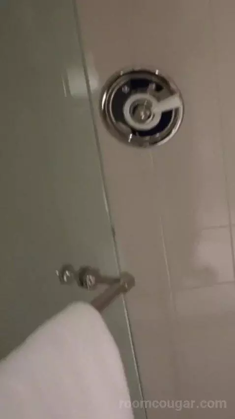 Classic King with a King Bed (#3048) bathroom picture #7