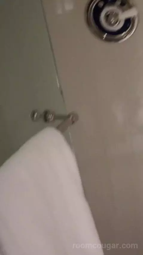 Classic King with a King Bed (#3048) bathroom picture #9