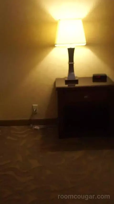 Casino Tower King Room (#530) bed picture #1