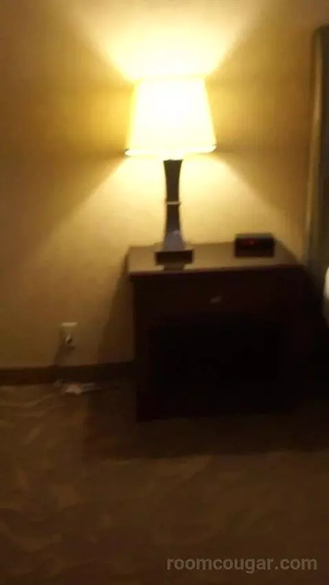 Casino Tower King Room (#530) bed picture #2