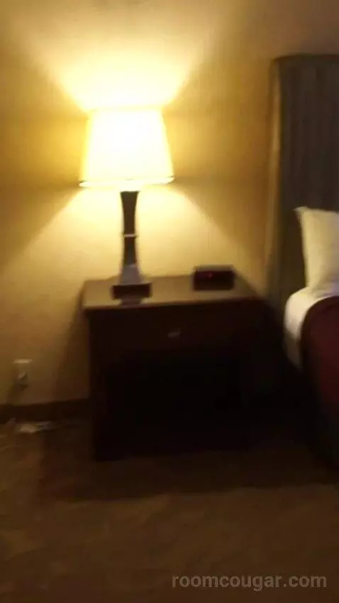 Casino Tower King Room (#530) bed picture #3