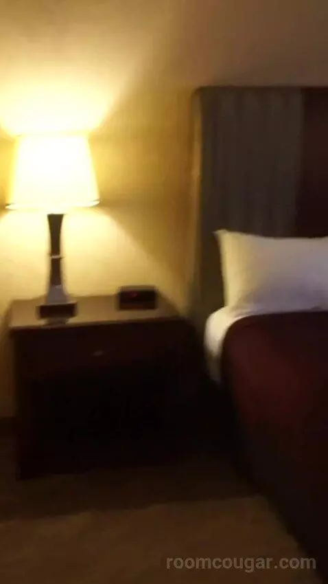 Casino Tower King Room (#530) bed picture #4