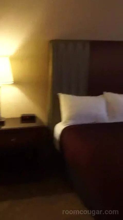 Casino Tower King Room (#530) bed picture #5