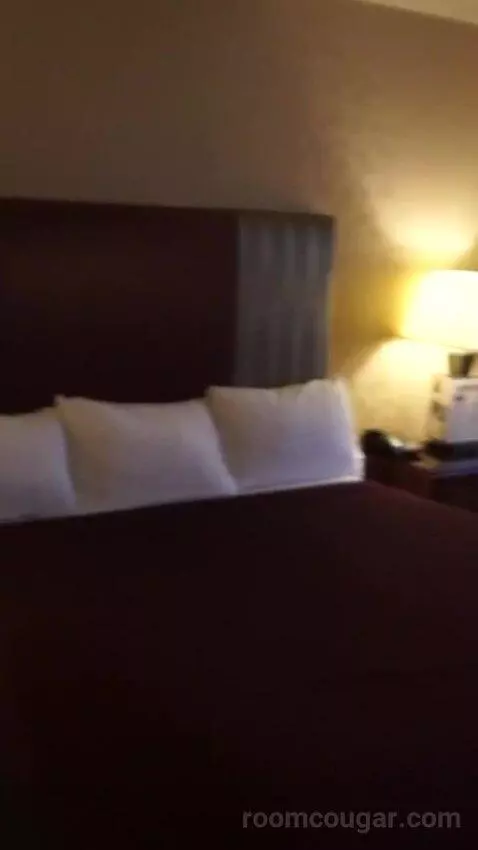 Casino Tower King Room (#530) bed picture #9