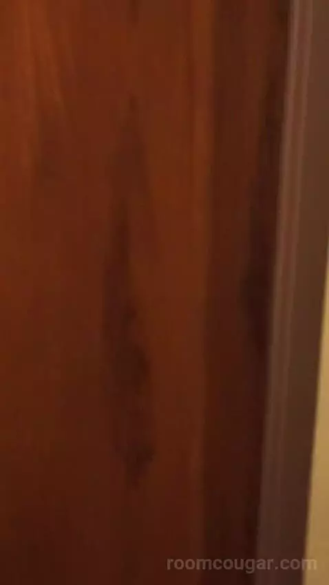 Casino Tower King Room (#530) bathroom picture #1