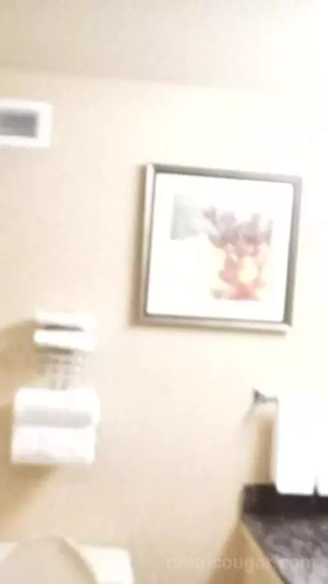 Casino Tower King Room (#530) bathroom picture #3