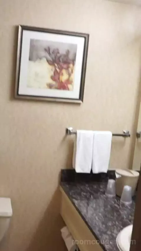 Casino Tower King Room (#530) bathroom picture #4