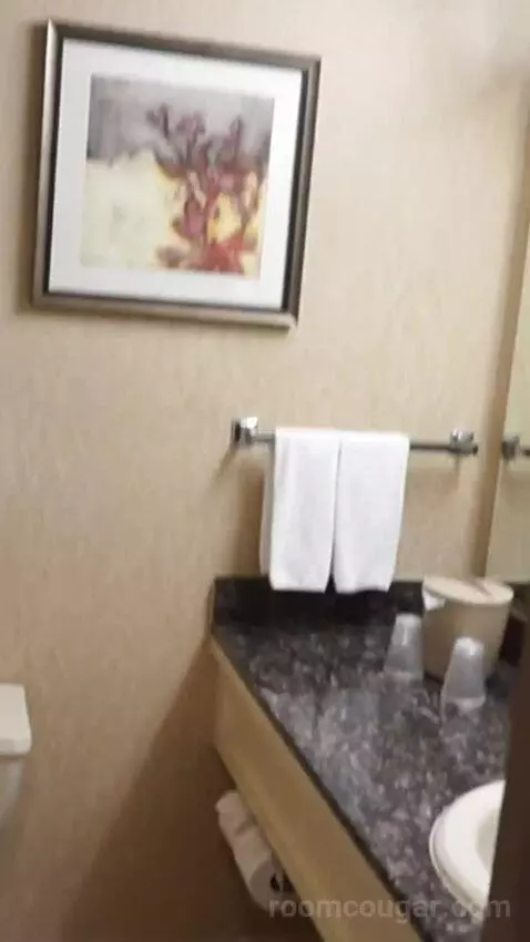 Casino Tower King Room (#530) bathroom picture #5