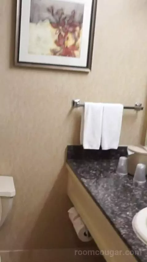 Casino Tower King Room (#530) bathroom picture #6