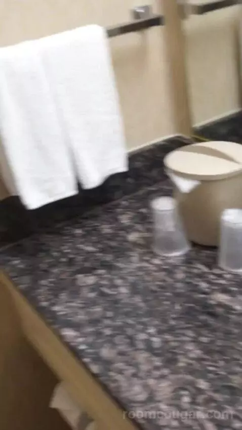 Casino Tower King Room (#530) bathroom picture #9