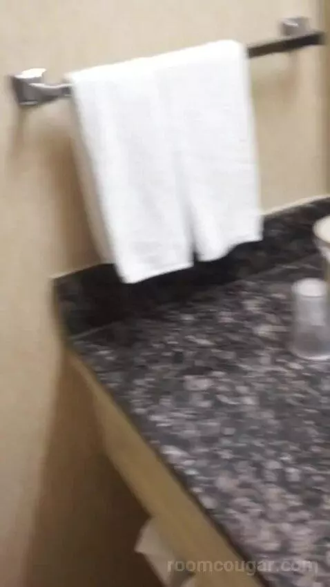 Casino Tower King Room (#530) bathroom picture #10