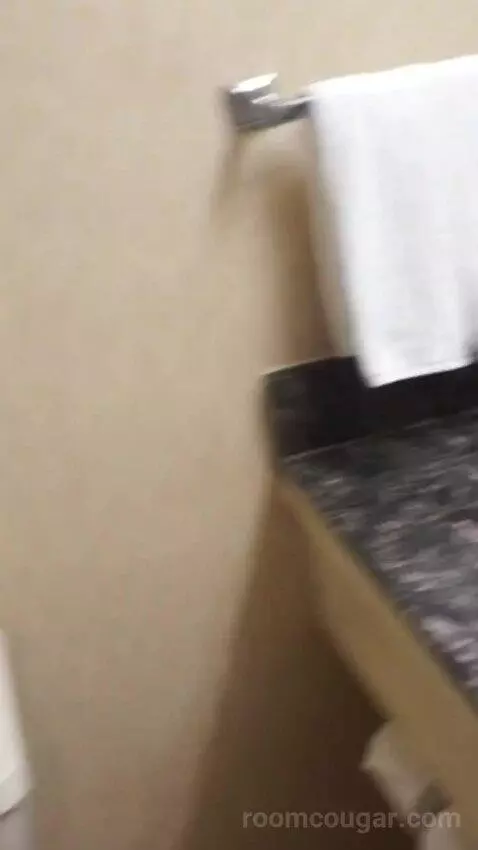 Casino Tower King Room (#530) bathroom picture #11