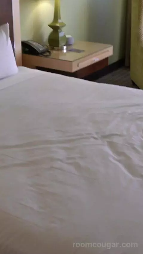 Grand Deluxe King Bed (#910) bed picture #9