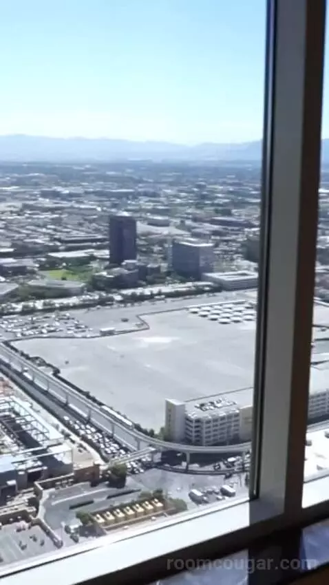 Executive Theater One Bedroom King Suite (#50719) view picture #1