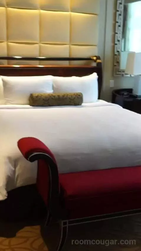 Executive Theater One Bedroom King Suite (#50719) bed picture #5