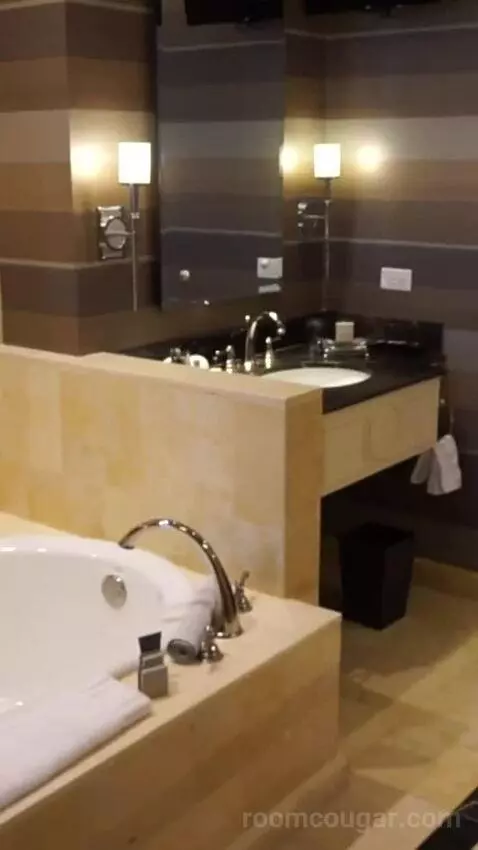 Executive Theater One Bedroom King Suite (#50719) bathroom picture #1