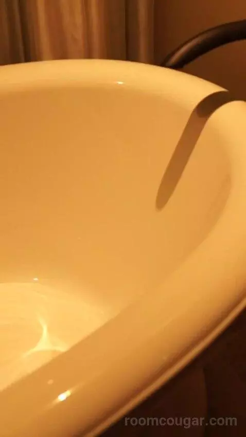 Luxury King Strip View (#858) bathroom picture #2