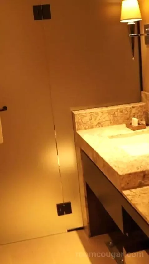 Luxury King Strip View (#858) bathroom picture #3