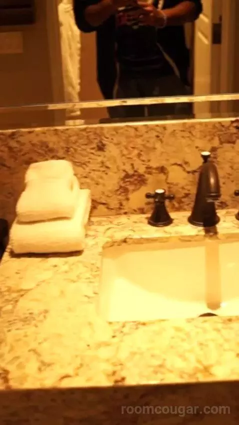 Luxury King Strip View (#858) bathroom picture #4