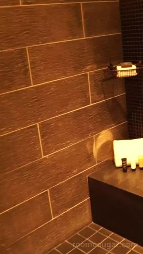 Luxury King Strip View (#858) bathroom picture #5