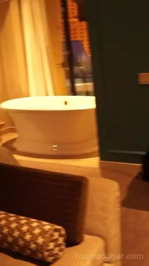 Luxury King Strip View (#858) bathroom picture #1