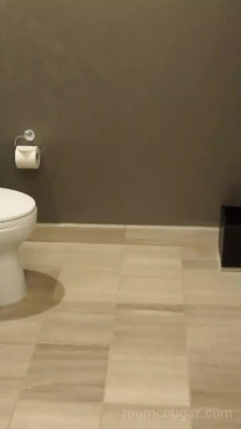 Julius Executive Suite King (#1486) bathroom picture #1
