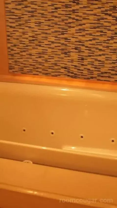 Skylofts One Bedroom Loft (#10) bathroom picture #1