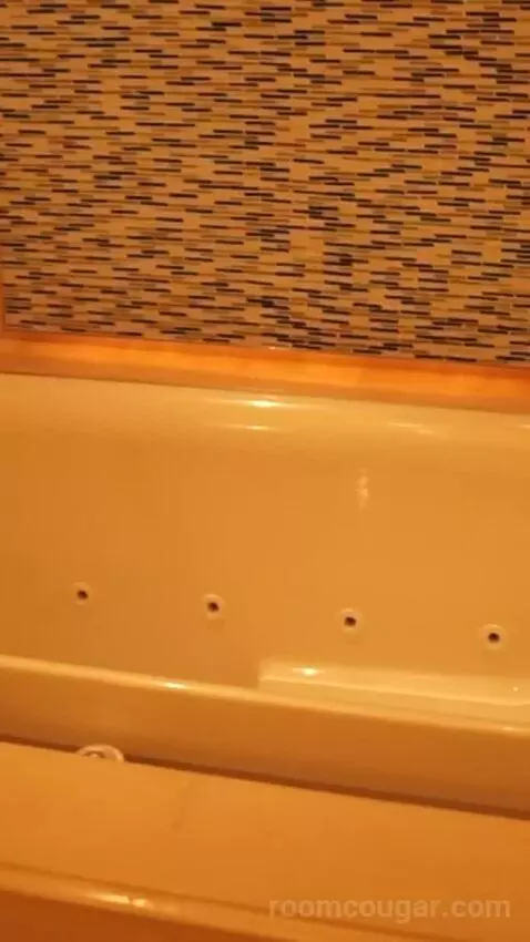 Skylofts One Bedroom Loft (#10) bathroom picture #2