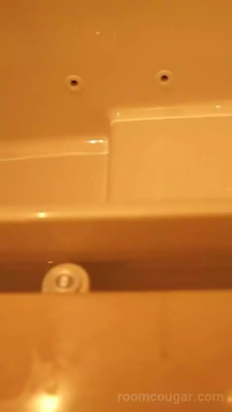Skylofts One Bedroom Loft (#10) bathroom picture #12