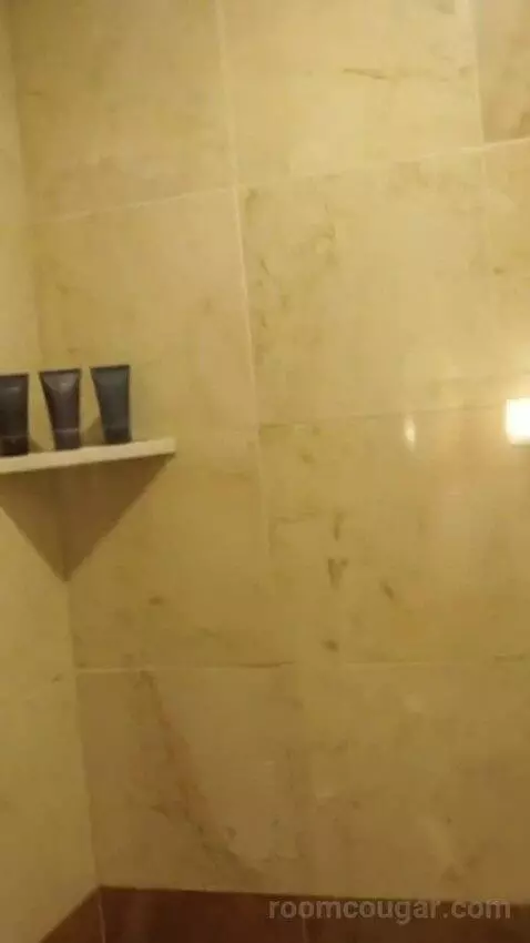 Venetian Luxury King Suite (#14110) bathroom picture #1