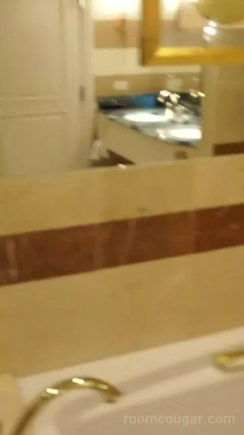 Venetian Luxury King Suite (#14110) bathroom picture #4