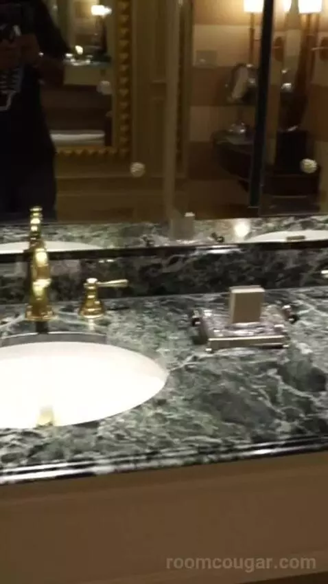Venetian Luxury King Suite (#14110) bathroom picture #8