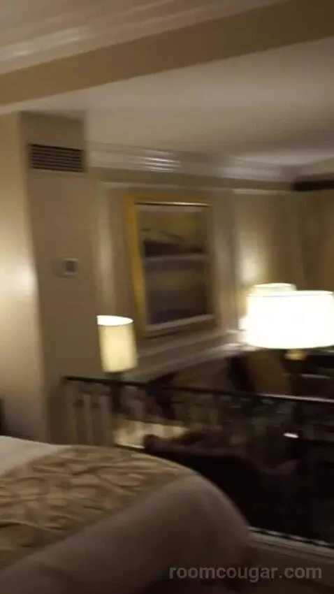 Venetian Luxury King Suite (#14110) bed picture #6
