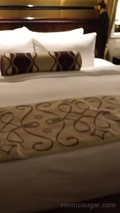 Venetian Luxury King Suite (#14110) bed picture #12
