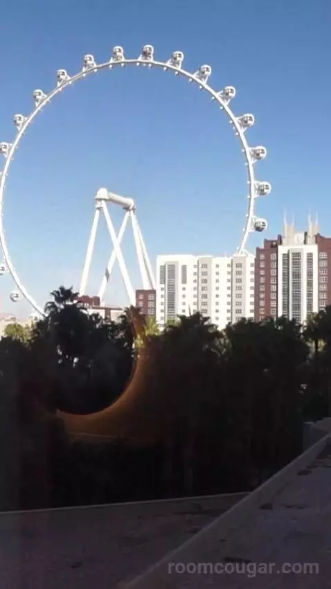 thevegasparadise's review preview (Flamingo Las Vegas Hotel & Casino)