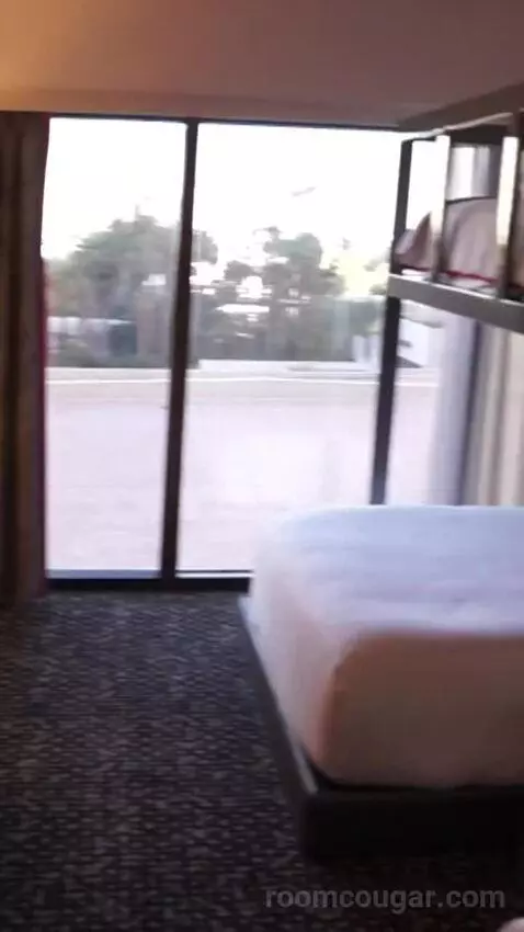 Flamingo Room, 2 Queens, 1 Bunk (#5087) bed picture #1