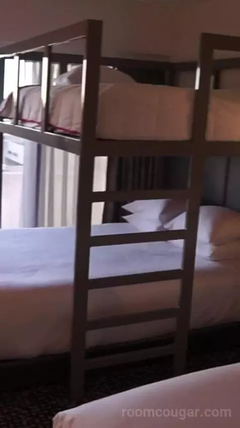 Flamingo Room, 2 Queens, 1 Bunk (#5087) bed picture #4