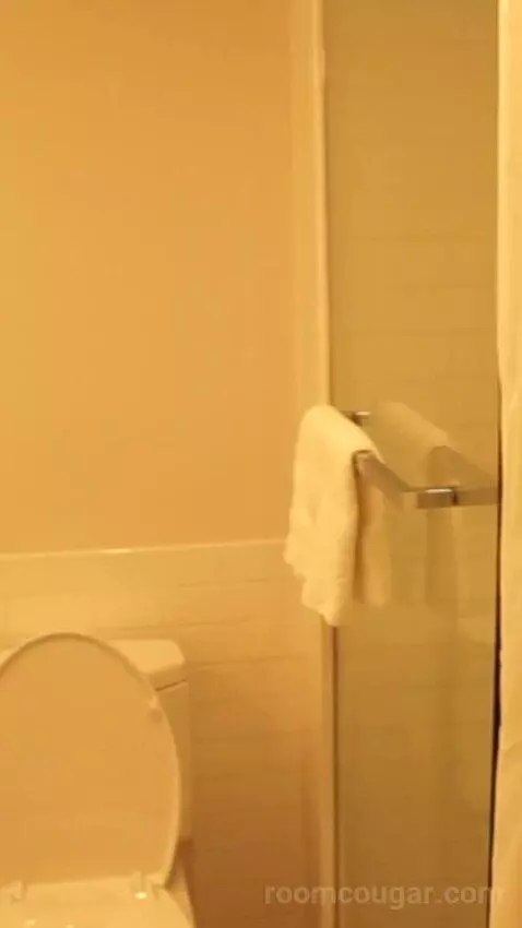 Flamingo Room, 2 Queens, 1 Bunk (#5087) bathroom picture #2