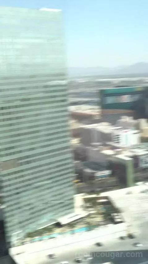 Sky Suites Two Bedroom Penthouse (#50026) view picture #8