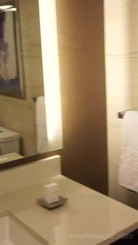 Valley Tower Deluxe Room, 2 Queen Beds, Non-Smoking, Pool View (#21021) bathroom picture #3