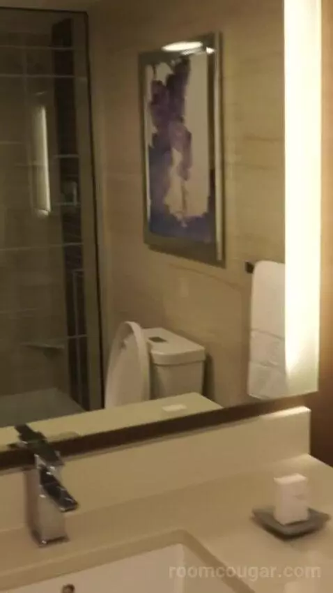Valley Tower Deluxe Room, 2 Queen Beds, Non-Smoking, Pool View (#21021) bathroom picture #6