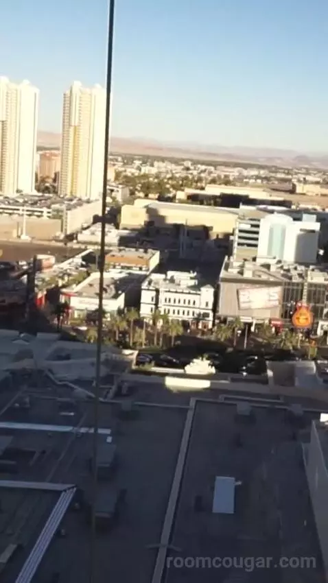 Park Mgm Two Queen (#25309) view picture #2