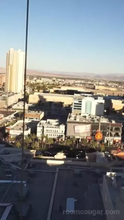 Park Mgm Two Queen (#25309) view picture #4