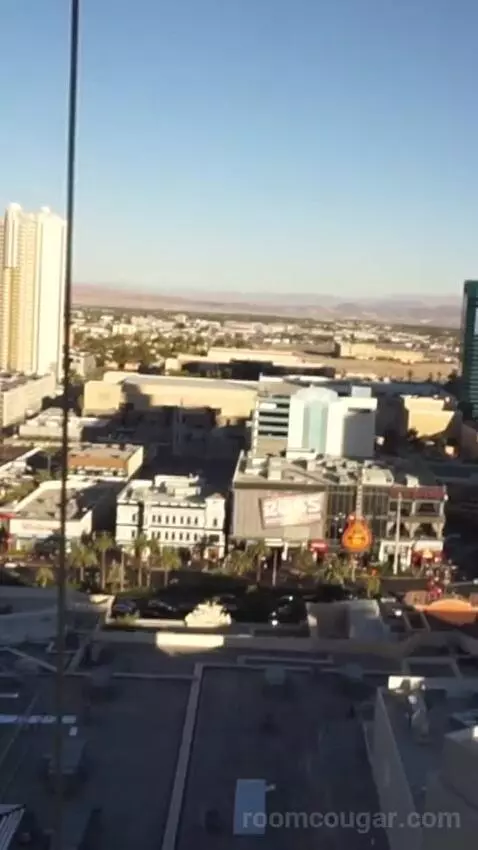 Park Mgm Two Queen (#25309) view picture #5