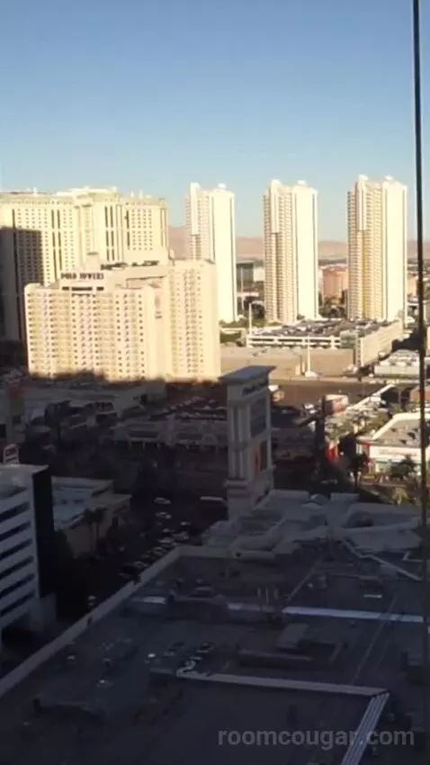 Park Mgm Two Queen (#25309) view picture #7